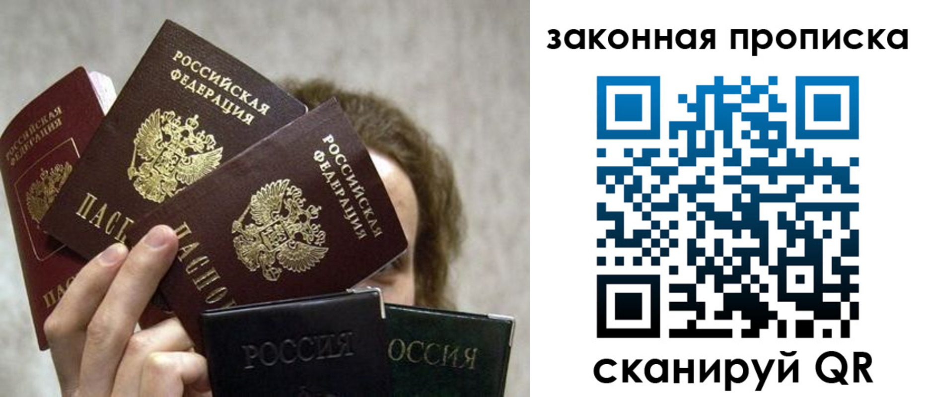 прописка законно в Королёве